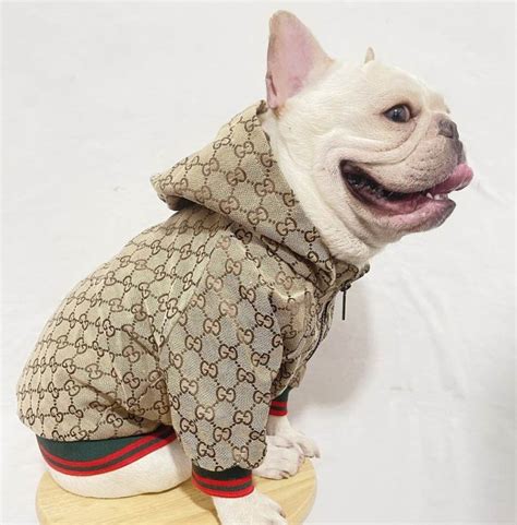 gucci sweater dog|designer dog coats gucci.